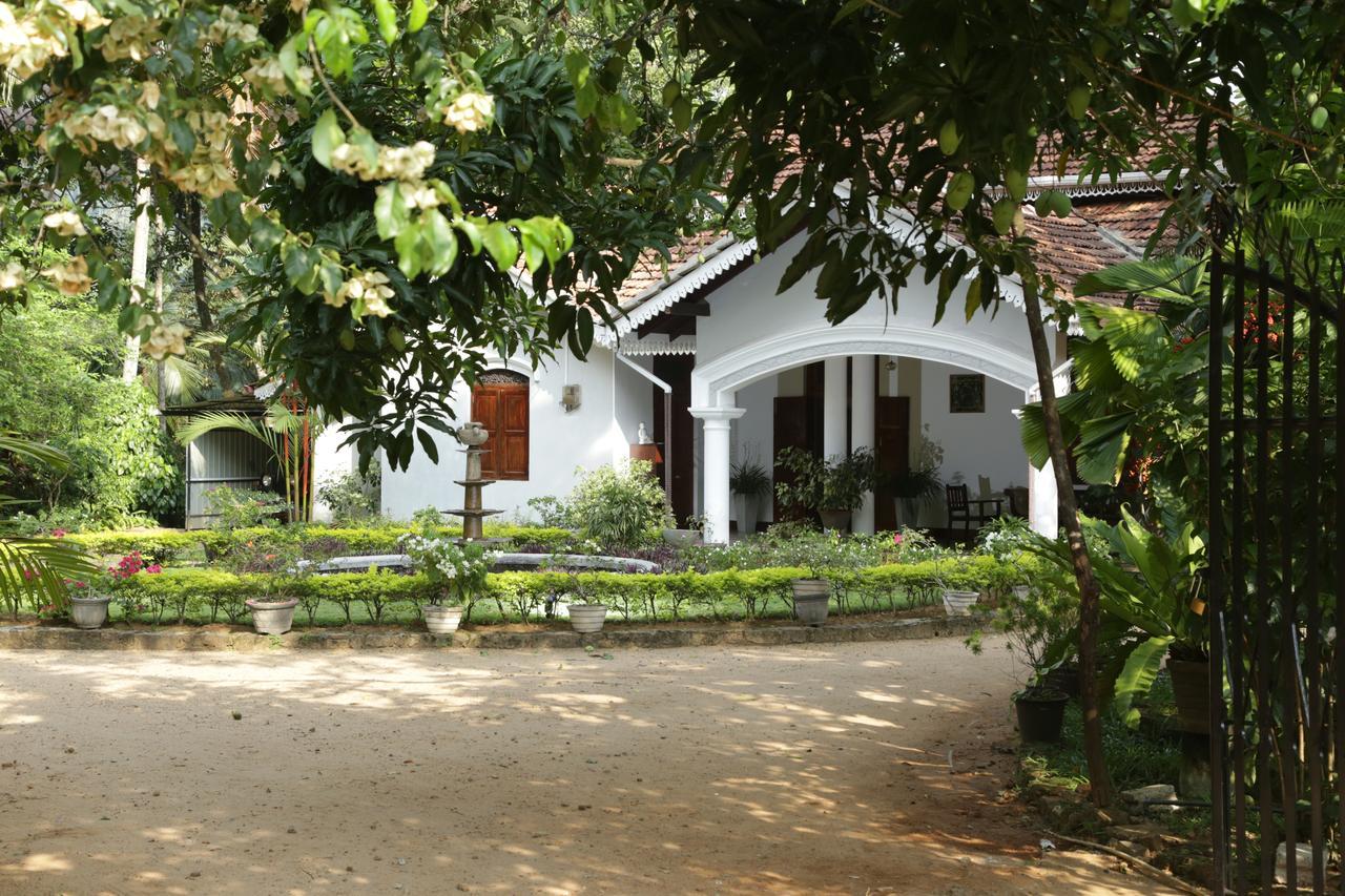 Kithulvilla Holiday Bungalow Kitulgala Exteriör bild